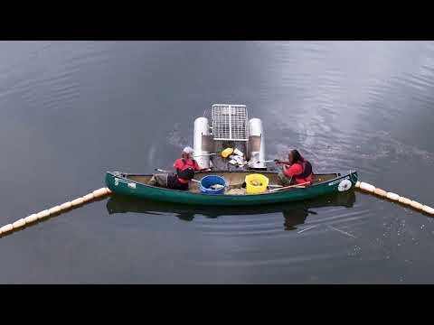Osprey Initiative homepage video